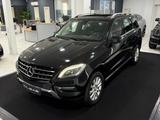 Mercedes-Benz ML 350 CDI BlueTec*TÜV NEU*SERVICE NEU*2.HAND* - Mercedes-Benz ML 350 in Essen