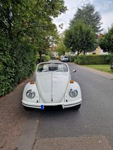 Volkswagen Käfer Cabrio Speedster Umbau - Volkswagen Käfer in Frankfurt (Main)