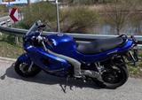 Triumph Sprint 955 i  - TRIUMPH 2000