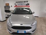 Ford FORD FOCUS ANNO 2018 DS 1.5 ADATTA NEOPATENTATI  - Ford Focus mit Halbautomatikschaltung
