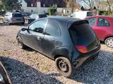 Ford Ka/Ka+ 1.3, Klima, Leder, Tüv 05/2027 !!! - Ford Ka/Ka+ aus 2006