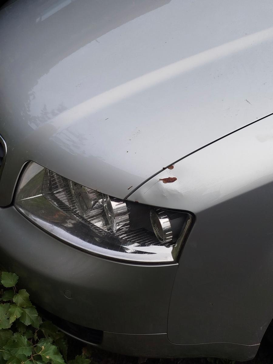 Audi A4 2004 — photo 10