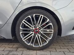 Fahrzeugabbildung ProCeed GT