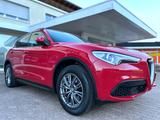 Alfa Romeo Stelvio Super Q4 Aut Navi Leder Bi-Xenon Kamera - Alfa Romeo aus 2020