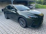 Lexus NX 350h 350h Business Line Business Line - gebrauchte Lexus NX 350h aus dem Jahr 2024