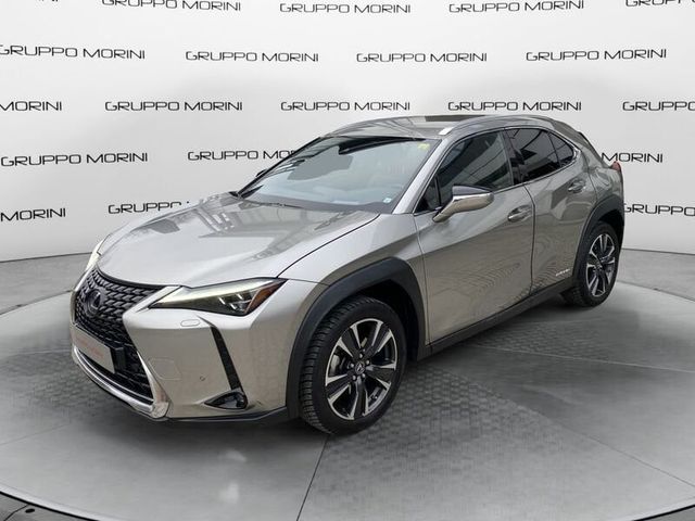 Lexus UX Hybrid 4WD Premium