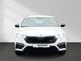 Skoda Octavia Combi RS 2.0 TDI DSG Matrix ACC AHK Navi - Skoda Octavia: RS TDI Dsg