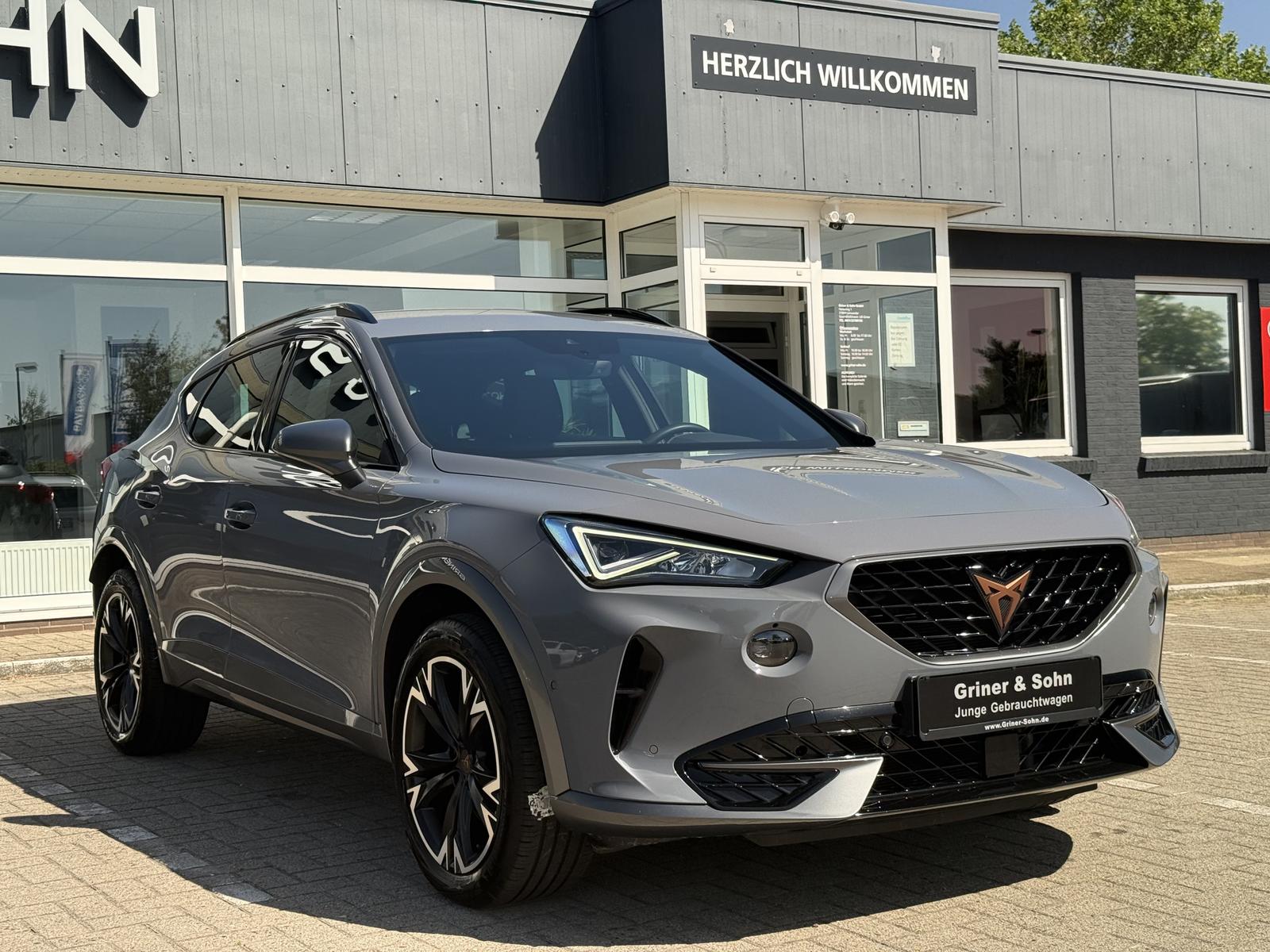 Cupra Formentor 18-Zoll,R-Kam,Winter,ACC,Ambiente-2