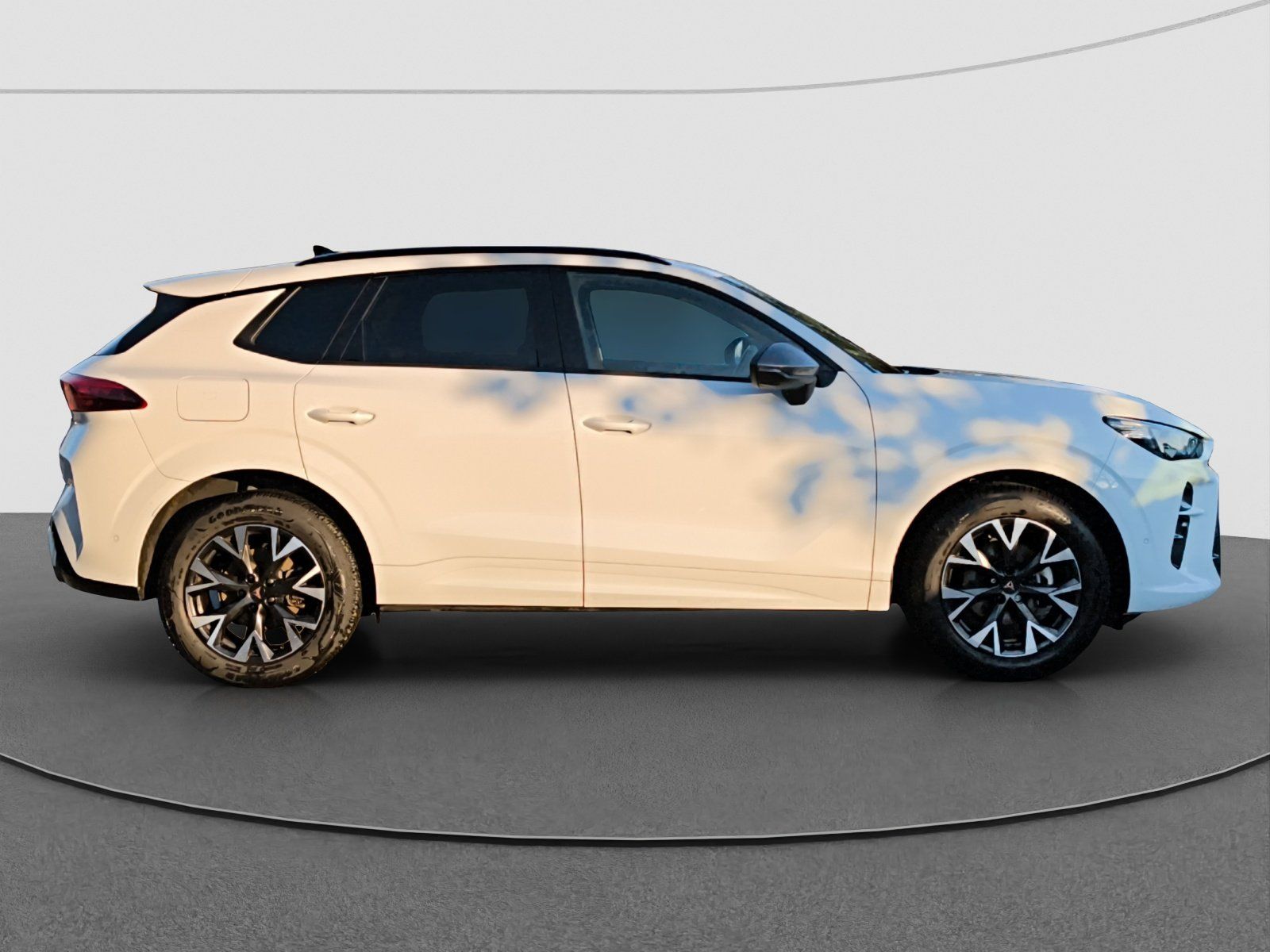 Cupra Terramar - Bild 10