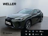 Lexus UX 300h F-Sport Design