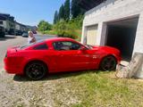 Ford Mustang - Ford Mustang: Rot