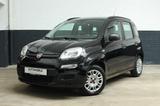 Fiat Panda 1.2 My Panda*1Hd.*Klima*Allwetter*ZV* - Fiat Panda Gebrauchtwagen in Solingen