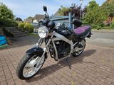 Suzuki GS500E - SUZUKI 1995 GS500