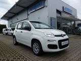 Fiat Panda Easy 1.2 KLIMA/1.Hand/Servo/Bluetooth - Fiat Panda Gebrauchtwagen in Mannheim