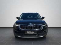 Skoda Kodiaq - Vorschau Bild 6