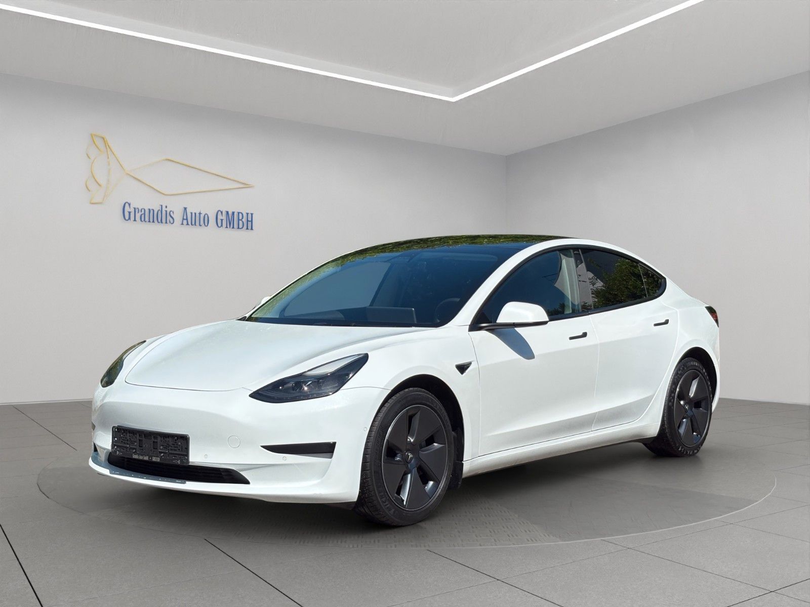TESLA Model 3 Standard Range Plus RWD 88%*55kWh*VAT