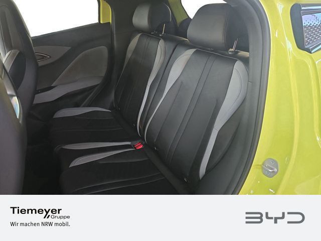 BYD DOLPHIN SURF