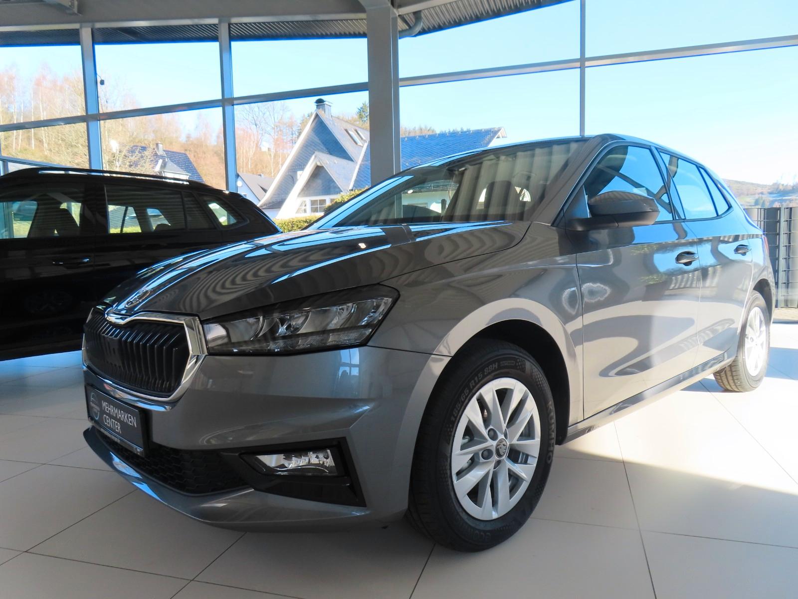 Skoda Fabia Selection 1.0 SmartLink Klima Sitzheizung