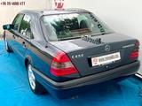Mercedes-Benz C 250 TD ESPRIT/1.HAND/CLIMA/RUSTFREE - Mercedes-Benz C-Class aus 1996