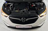 Opel Grandland X Business Elegance 1.5 96KW LED LUX + - Opel Grandland (X) Gebrauchtwagen