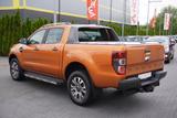 Ford Ranger 3.2 TDCi Wildtrak DK 4x4 Navi ACC DAB AHK - Ford Ranger: 2.3