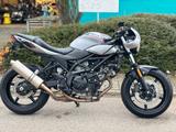 Suzuki SV650 *A2 gedrosselt - Topzustand - Reifen neu* - SUZUKI 650 R