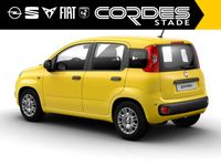 Fiat New Panda - Vorschau Bild 3