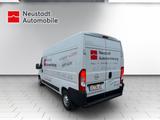 Opel Movano Cargo L3H2 3.5t Holzboden, Seitenwandverk - Tier-/Pferdetransport