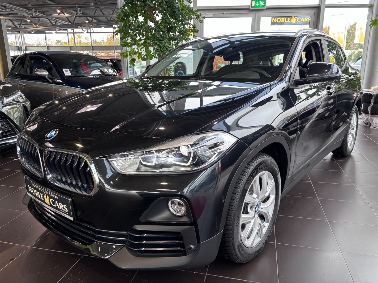 Fahrzeugabbildung BMW X2 xDrive 20 d Advantage AHK LED NAVI ALU