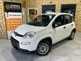 Fiat Panda Base/KLIMA/4-TÜRER/DAB/ALLWETTER - Fiat Panda mit Hybrid-Antrieb