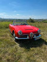 Alfa Romeo Giulia 1600 Spider - Alfa Romeo: 1600