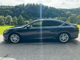Lexus ES 300 300h Luxury Line Automatik Luxury Line - Lexus: 300h