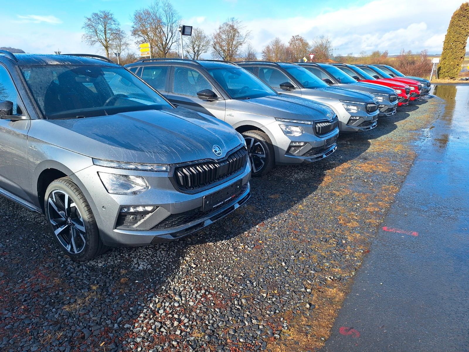 Skoda Kamiq 1,5 DSG MonteCarlo/Pano/LED/Kamera/AHK/18"