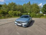 Mercedes-Benz E 350 BlueTEC AVANTGARDE Top gepflegt - Mercedes-Benz E 350 Gebrauchtwagen in Stuttgart