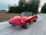 Alfa Romeo 1600 Fastback Spider - gebrauchte Alfa Romeo Spider aus dem Jahr 1979