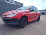 Peugeot 206 1.1 Filou 60, TÜV/AU 08/2027 !! - gebrauchte Peugeot 206 aus dem Jahr 2002