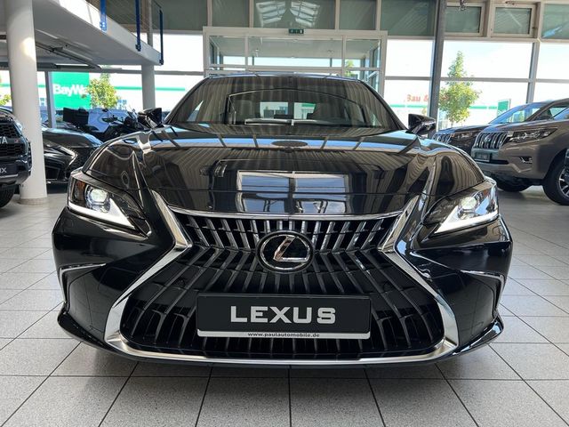 Lexus ES 300h - PREMIUM NAVI 12.3-GLASS.-KAMERA-40.990
