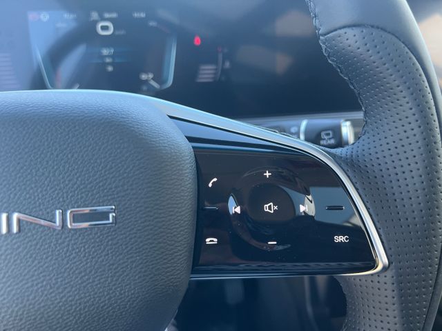 BAIC Beijing X75 Top Ausstattung alle Farben bestell.