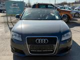 Audi A3 Cabriolet Ambition*Volleder*SHZ*wenig KM - Audi A3 aus 2008