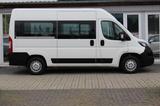 Peugeot Boxer Kombi 333 L2H2 Active Blue-HDi 140 - Peugeot Kühlkastenwagen