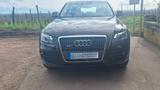 Audi Q5 2.0 TDI quattro - - Audi Q5: Braun