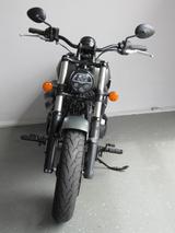 Indian Chief Dark Horse - INDIAN CHIEF DARK HORSE