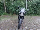 Suzuki SV650, EZ 03/2019, 24.230 km, Scheckheft - MOTORRAD 24