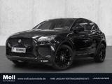 Jaguar E-Pace R-Dynamic SE AWD D180 EU6d-T Navi Memory  - Jaguar E-Pace in Köln