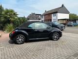 Volkswagen Beetle Cabrio - Volkswagen Beetle aus 2006: Cabrio