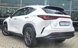 Lexus NX 350h E-FOUR Executive Line*Technologie-Paket* - Lexus Gebrauchtwagen in Augsburg