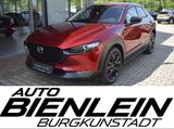 Mazda CX-30 2.5 140PS Nagisa BOSE® Voll-LED Navi Kamer - Mazda Neuwagen: Geländewagen