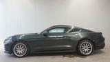 Ford Mustang Fastback *Xenon*SoundPremium*Sitzlüftung - Ford Mustang Unfallwagen