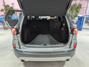 Ford Kuga 1.5 EcoBlue Titanium X Automatik