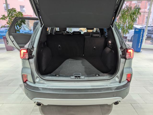 Ford Kuga 1.5 EcoBlue Titanium X Automatik